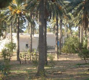 Gärten und Natur...