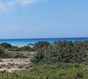 Umgebung an der Südwestküste.