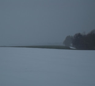 In Grünscheid gibt es auch grüne Felder