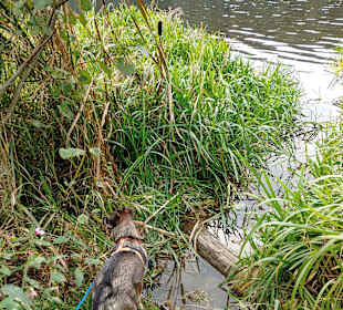 Wandern Bad Kötzting