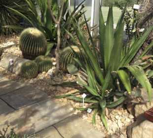 Botanischer Garten