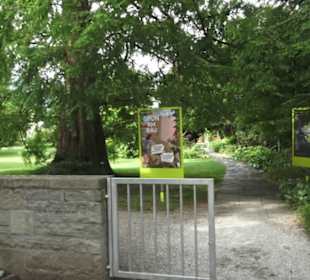 Zentrum für Pflanzen und Bildung 