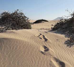 Wanderung durch die Dünen (2)