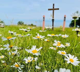 Wandern Dammbach