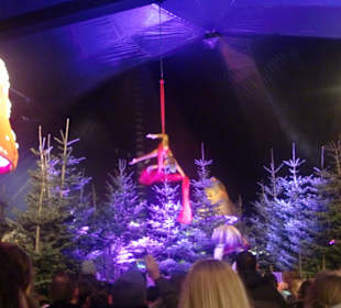 Am Seil im Märchenwald