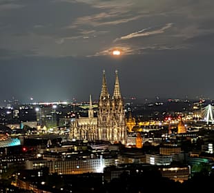 Ausblick