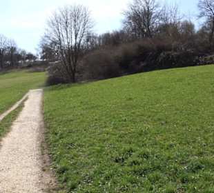 Premiumwanderweg "hochgeblickt"