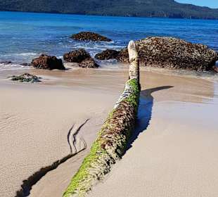 Strand Playa Rincon