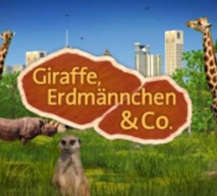 Bekannte Fernsehserie im TV