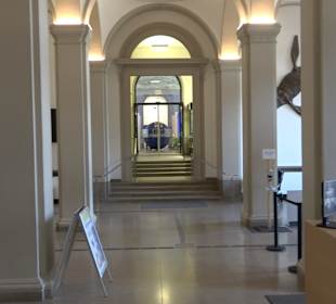 Staatliches Naturkunde Museum