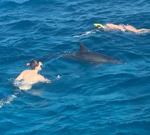 So frei und doch so nah und verspielt