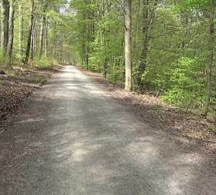 Walderlebnisweg Rottenburg