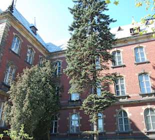 Stare Miasto