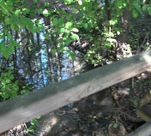 Baumlehrpfad Zollertal