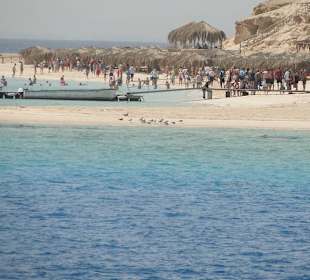 Ostatni przystanek wycieczki