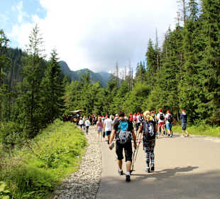  Weg- Meeresauge Zakopane. 