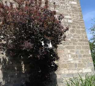 Pfarrkirche St. Margaretha