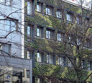 Altstadt Mannheim Quadratstadt