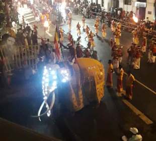 "Zahnprozession in Kandy"