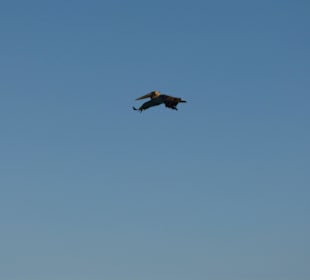 Strand Playa del Carmen