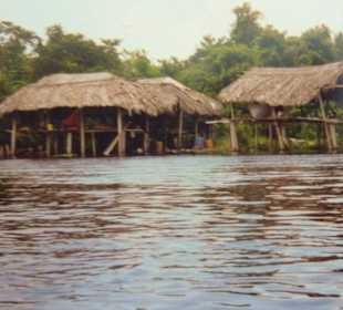 Wohnhäuser im Orinoco-Delta