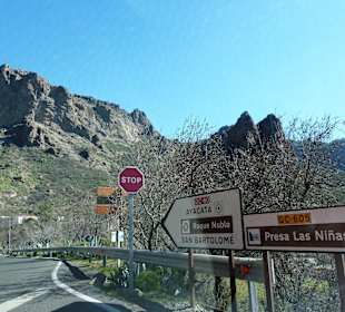 Aus dem Weg ins Zentralgebirge