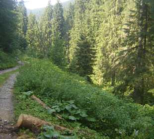 Parcul Natural Apuseni