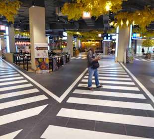 Die Große Kreuzung von Tokyo