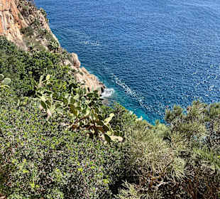 Wanderung Puig de Son Jordi