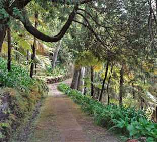 Impressionen vom Weg durch den Monte Palace Garden