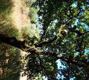 Lalissos, Panagia Filerimos