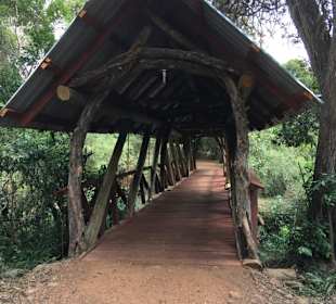 Brücke im Matira Bush Camp