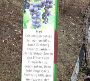 Weinerlebnisweg
