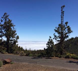 Über den Wolken.....