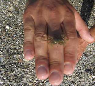 Spacer po plaży w Sfakaki