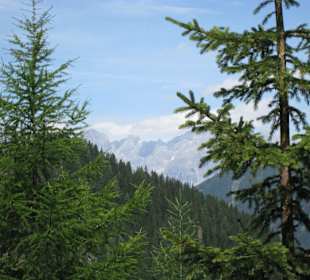 Dachstein im Hintergrund