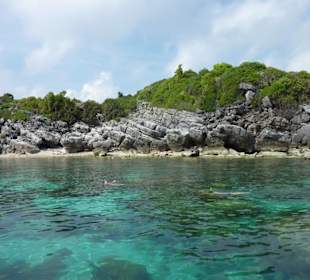 Ausflug Ang Thon Marinepark