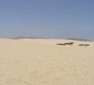 Le dune