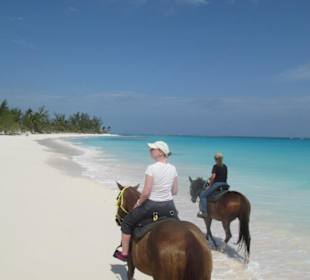 Ritt entlang des Strands