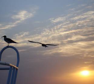Abendstimmung auf dem Boot am Roten Meer