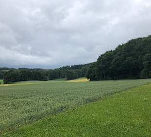 Wandern Simmelsdorf