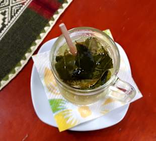 Coca Pause am Cotopaxi