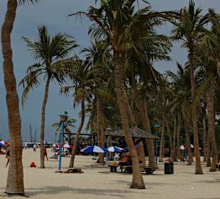Jumeirah Beach Park 