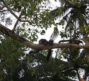 Wir werden beobachtet