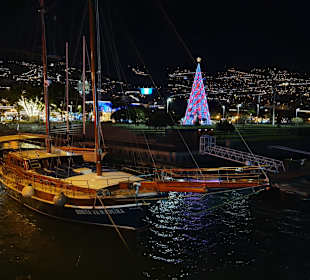 Hafen Funchal