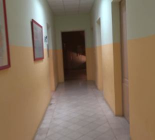 Naturhistorisches Museum