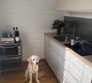 Zimmer MILLIEs hosting - Familienurlaub mit Hund in Kärnten