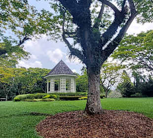 Botanischer Garten