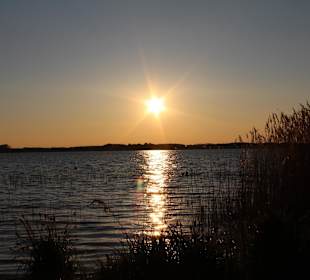 Abendstimmung an der Müritz