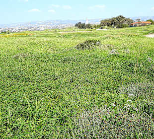 Archäologischer Park Kato Pafos